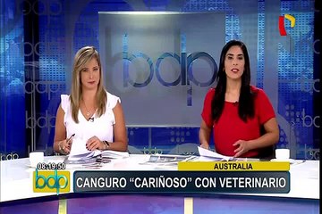 Acusan a vecina de envenenar a perro en San Isidro