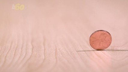 Check Your Piggy Bank! Rare Pennies Could Be Worth $85,000