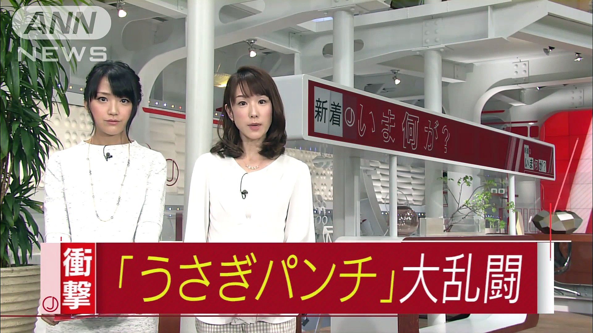 超高速パンチ炸裂 ウサギって意外と気性が荒い 16年03月08日 Video Dailymotion