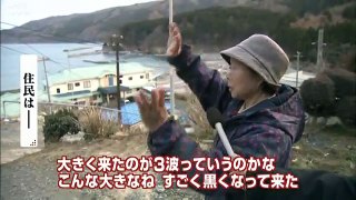【東日本大震災】リアス式海岸で津波巨大化　30m以上にも（2011年04年30日）