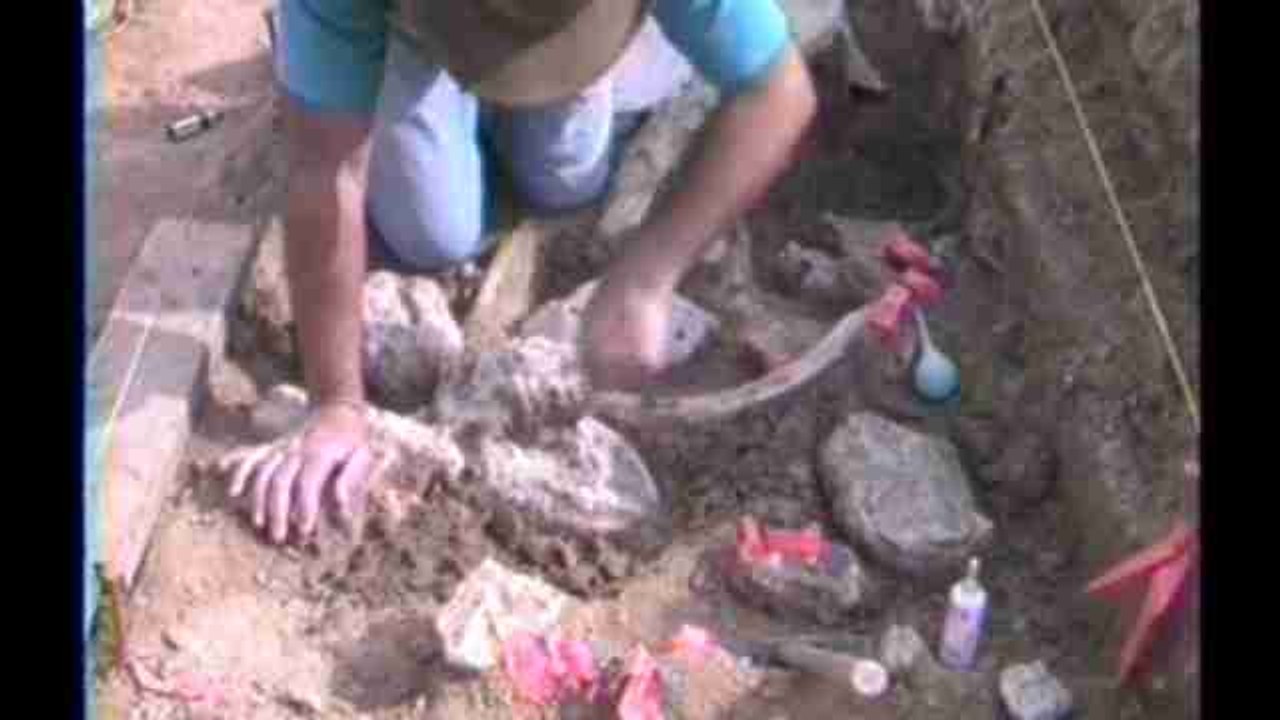 Humanos pudieron llegar 115.000 años antes de lo previsto a Norteamérica