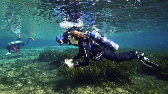 Tusa HyperFlex Switch Fins Win ScubaLab Testers Choice