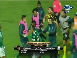 Pelea de jugadores e Hinchadas Peñarol 2:3 Palmeiras Copa Libertadores 26.04.2017
