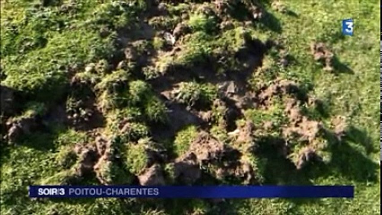 Soir 3 Poitou-Charentes du 14 janvier 2016 [INTEGRALE]