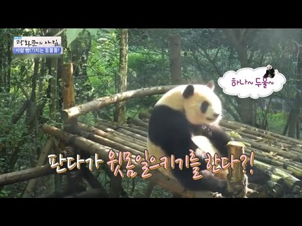 사람보다 더 사람 같은 지구촌 동물들! [광화문의 아침] 332회 20161010