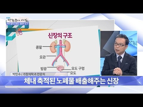 우리 몸에서 ‘신장’의 역할은? [광화문의 아침] 332회 20161010