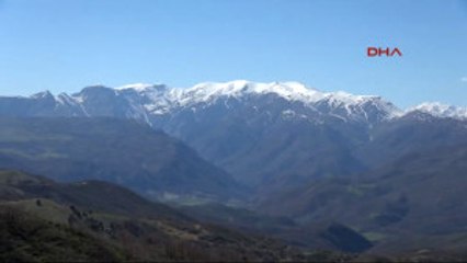 Tunceli'de Hava Operasyonunda 7 Terörist Öldürüldü