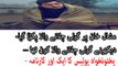 Mashal Khan Per Goli Chalany Wala Pakra Gaya. KPK Police Ka Aik Aor Karnama