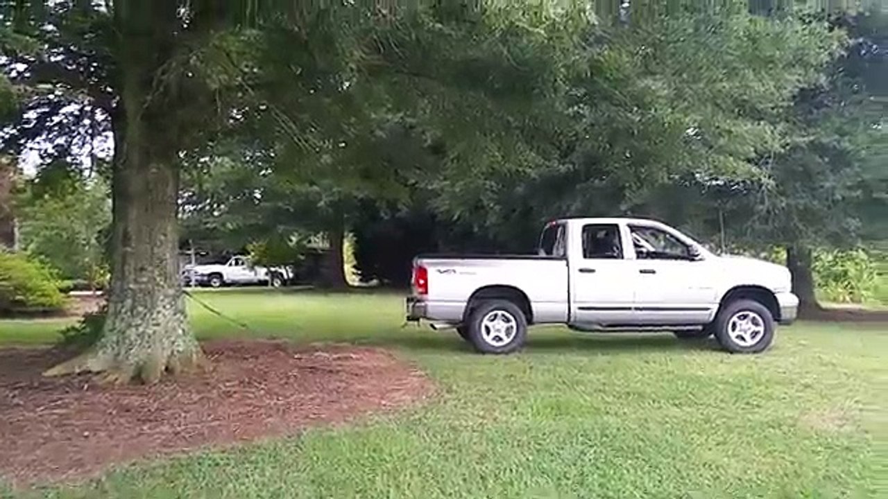 Truck vs. Tree