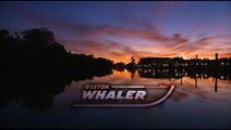 Boston Whaler 210 Dauntless