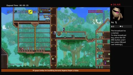 Terraria legens (5)