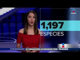 Por animales afectados, multan a zoológico de Chapultepec