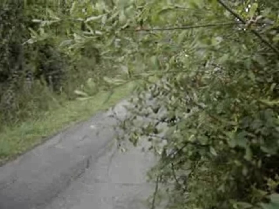 MOV03198