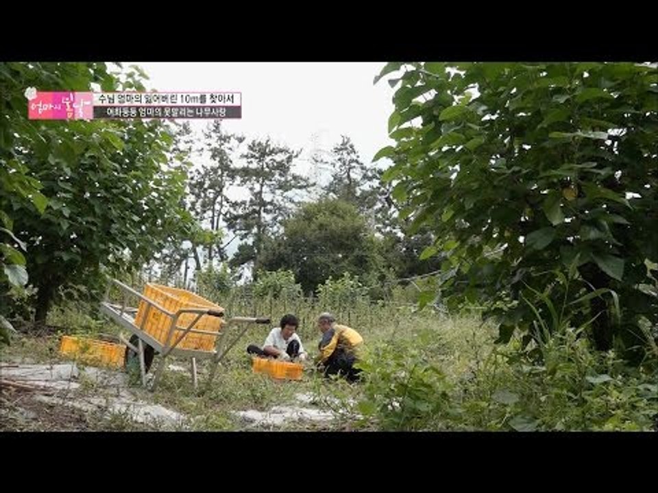 도라지 캐면서도 싸우는 부부 [엄마의 봄날] 62회 20161009