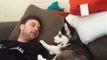 Beautiful Baby Husky Can’t Stop Arguing With His Father!!