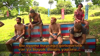 SV 74x3.CUT.00'04-19'16