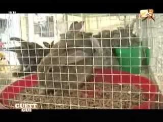 Guett Gui - 09 Juin 2012 - Partie 2