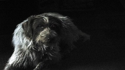 ER 오피쓰 서현오피 서현건마 서현휴게텔 서현키스방 서현마사지