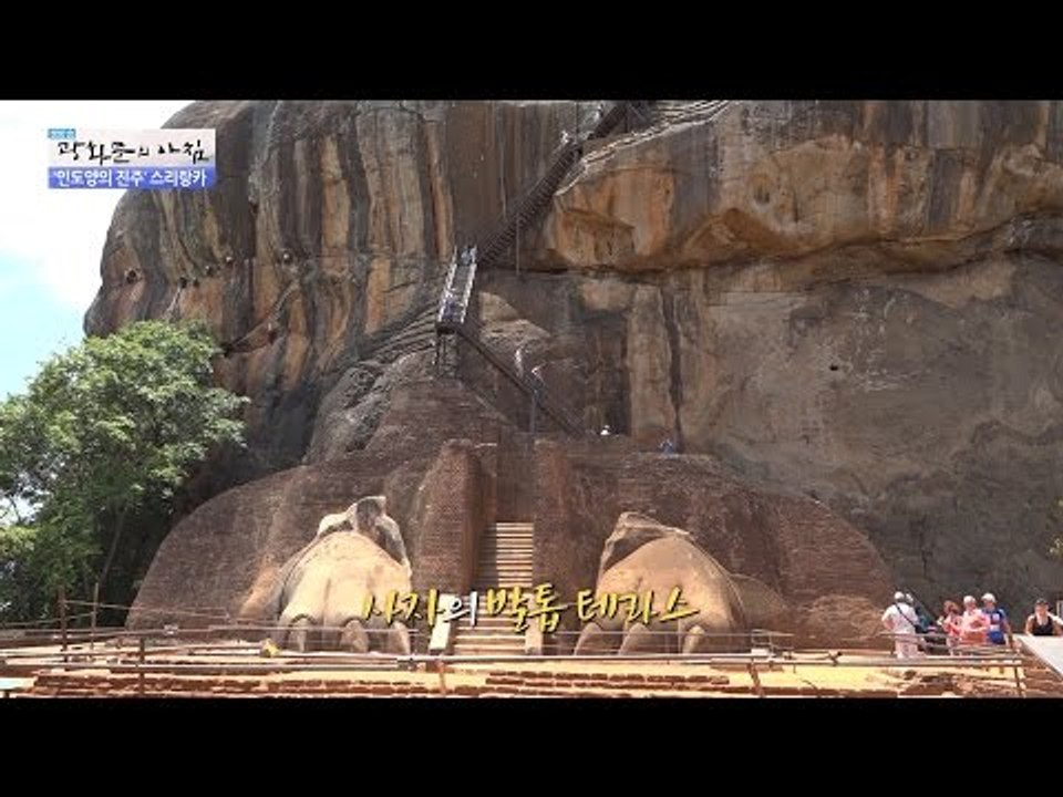 고대시절 만들어진 거대한 사자의 발톱! [광화문의 아침] 331회 20161007
