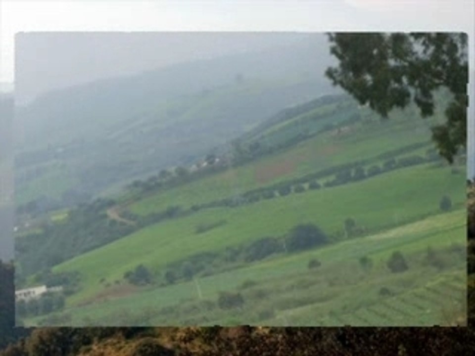 MES VOISINS... ( ALGERIE )