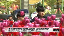 Botanical sanctuary in city: Goyang International Flower Festival