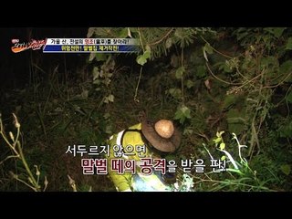 위험천만! 말벌집 제거작전! [뉴 코리아 헌터] 18회 20161005