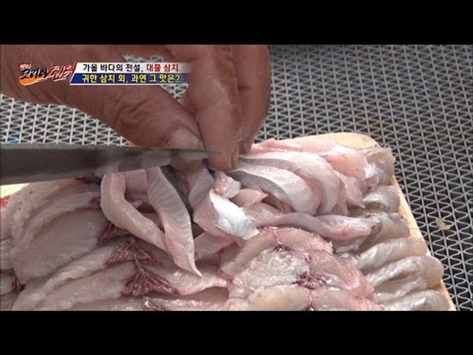 어디 하나 버릴게 없는 매력둥이 삼치 [뉴 코리아 헌터] 18회 20161005