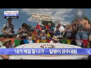 세상에서 가장 느린 ‘달팽이 경주대회’ [광화문의 아침] 330회 20161006