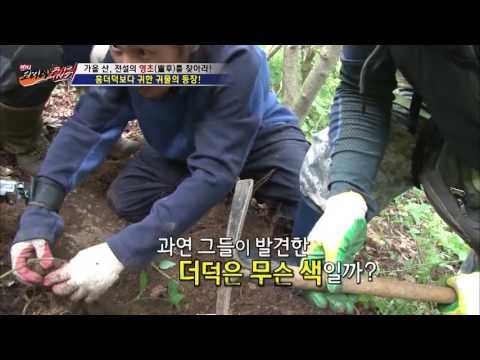 홍더덕보다 귀한 귀물, 청더덕! [뉴 코리아 헌터] 18회 20161005