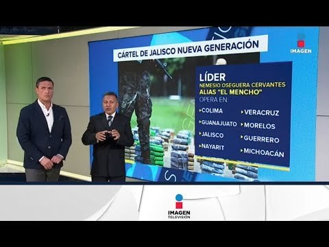 ¿Cuál cártel es cuál?: el narco en México | Imagen Noticias con Francisco Zea
