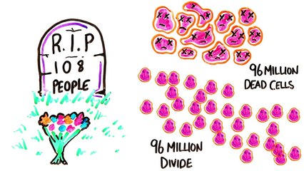 What Happens In One Minute?