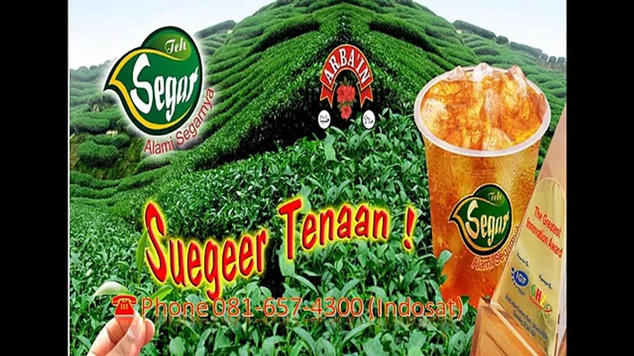 081-657-4300 (Indosat) Waralaba Minuman Tambrauw