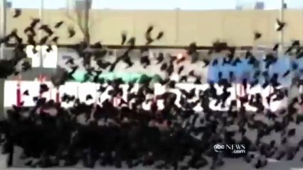 BIRDS VS AIRCRAFT - VIDEO COLLECTION 2016 - CRASH -=1 PART=-