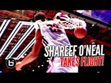 Shareef O'Neal Dunks ALL Over Warner Bros Studios! Jordan #Monstars Back Highlights!