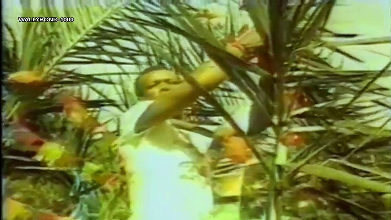 RODA BAIANA-BANDA CHEIRO DE AMOR-VIDEO ORIGINAL-ANO 1989 [ HD ]