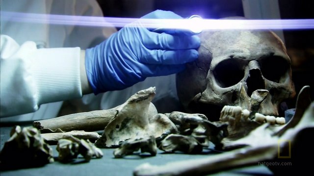 Gladiators: Back from the Dead