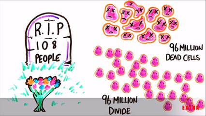 What Happens In One Minute