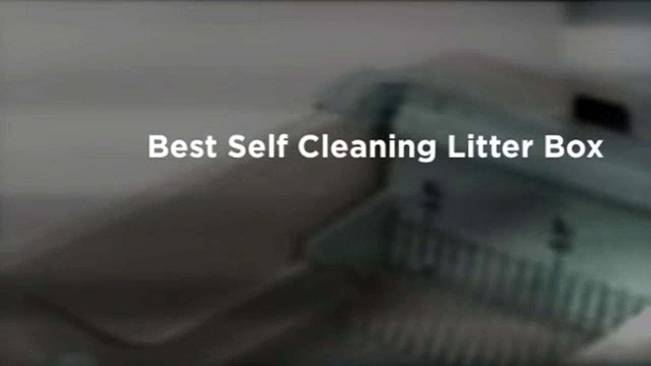 Best Self Cleaning Cat Litter Box