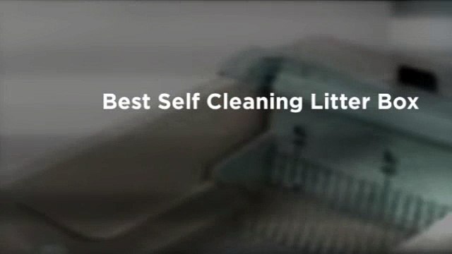 Best Self Cleaning Cat Litter Box