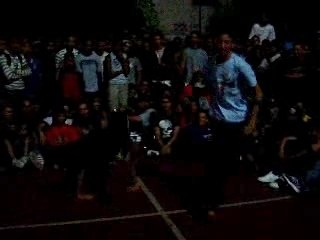 battle nivada la Halla Kingzoo 3rd Anniversary battle 8