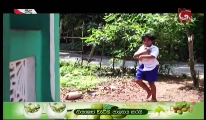 Sidu Teledrama Episode 190 28th April 2017