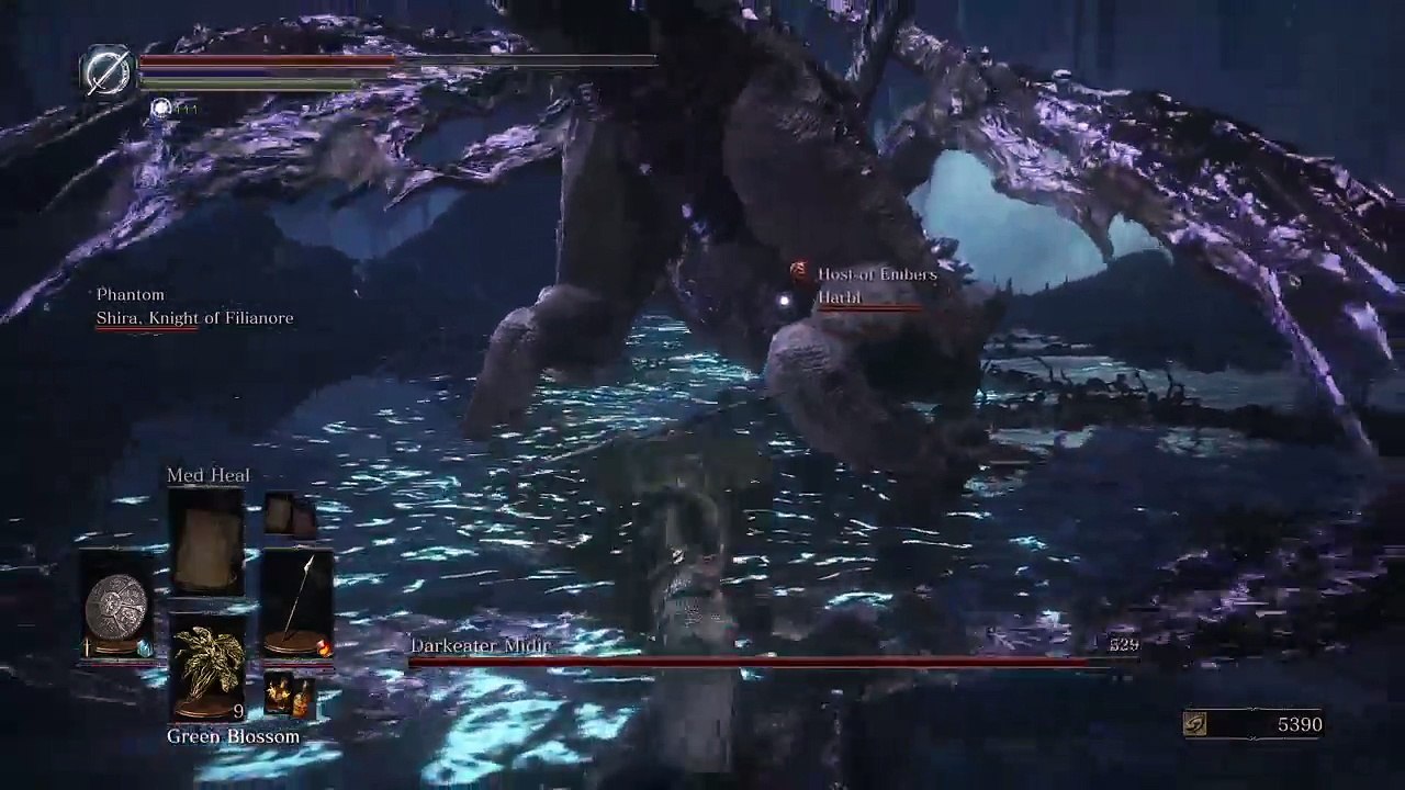 (DS3)'TheOldCrow'(SL123)NG+6 (29)