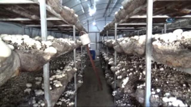 Kosgeb Kredisiyle Kendi İşinin Patronu Oldu