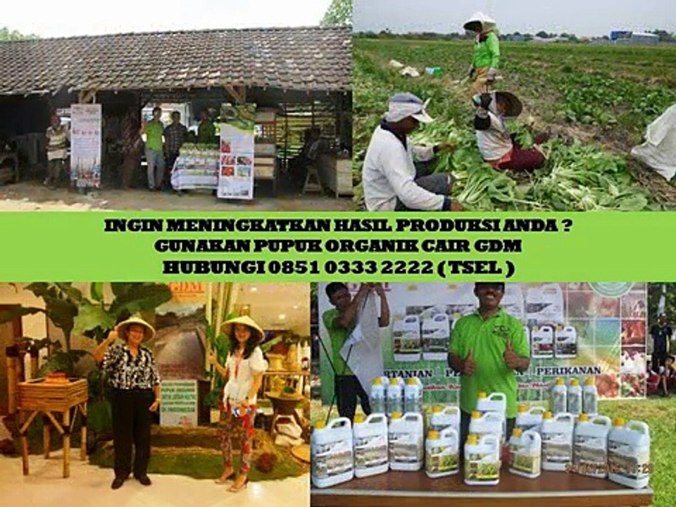 0851 0333 2222 (Tsel) Obat Buah Naga