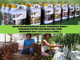 0851 0333 2222 (Tsel) Obat Tanaman Pepaya