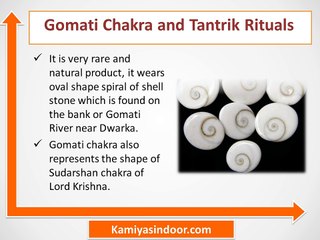 गोमती चक्र के प्रयोग और फायदे हिंदी में, गोमती चक्र की पूजा मंत्र सहित