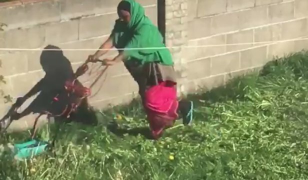 Une femme essaie de passer la tondeuse, mais elle a oublié un petit détail important...