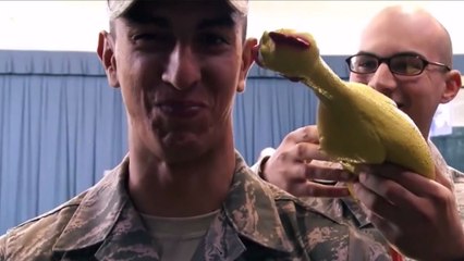 Des militaires américains doivent se retenir de rire face à un poulet