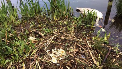 Teesside News 8:30pm - 27th April