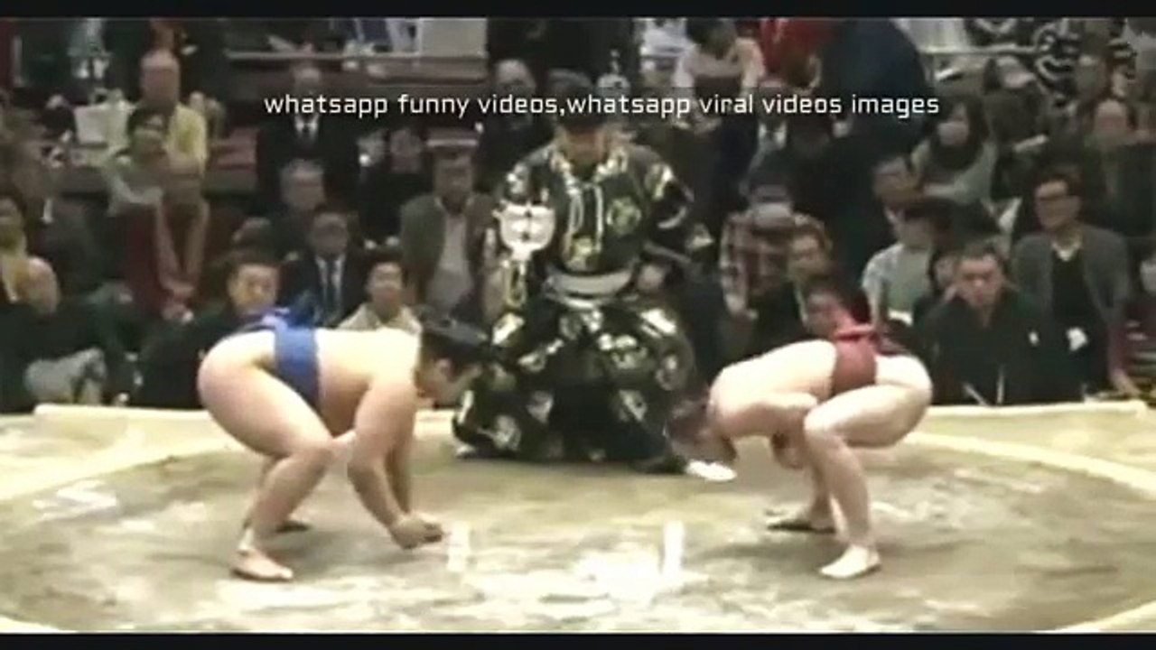 Funny Clips